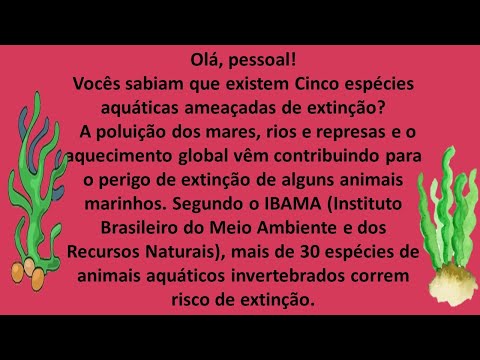 Vídeo: Canções De Baleia Contam Para Onde Os Animais Viajaram