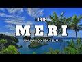 Lirik MERI (Whllyano Ft lean slim)