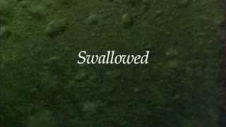 Watch Swallowed Trailer