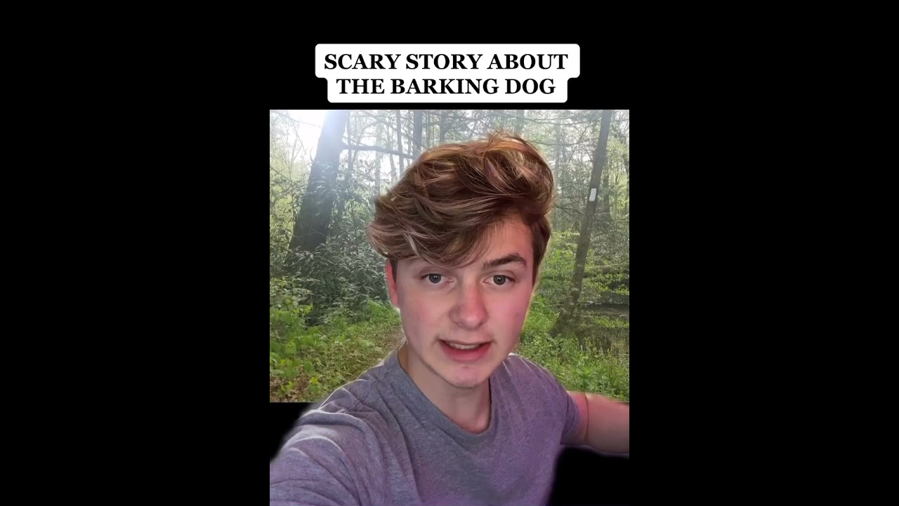 Scary Story About The Barking Dog Sebastiank22 Scary TikTok Stories 