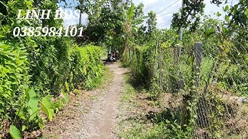 Tập 164❤️Bán 2,7 công đất vườn có 300m²thổ cư,giá 500 triệu 1 công ở xã cẩm sơn cai lậy tiền giang