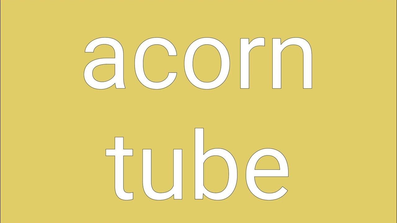 Acorn Tube Definition & Meaning YouTube