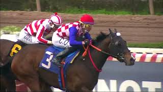 Vidéo de la course PMU PRIX RUENTE