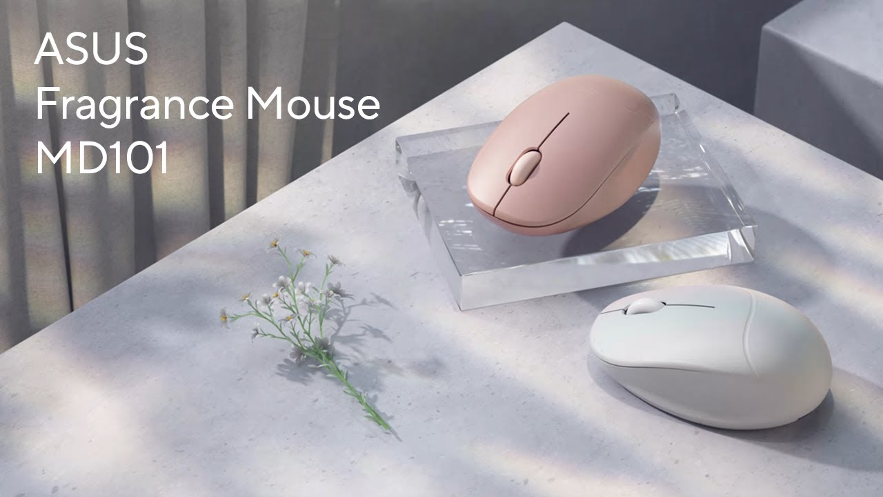 ASUS Video Thumbnail