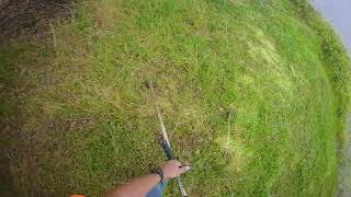 Finishing weed eating the pond bank, Go Pro Head Strap