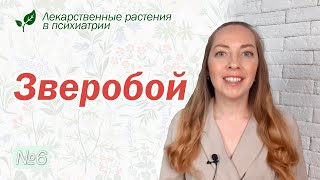 Зверобой: детская психиатрия, послеродовая депрессия l №6 Лекарственные растения в психиатрии.