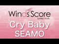WSJ-07-028 Cry Baby/SEAMO（吹奏楽J-POP）
