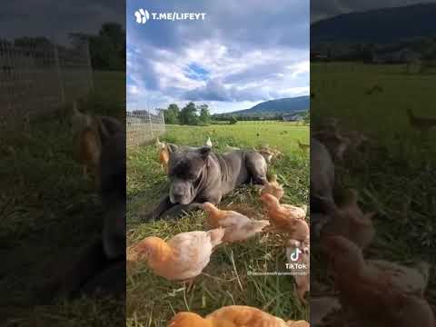 بعض الصمت هيبة وبعض الصمت خيبة