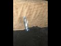 bottle flipping a bottle for 50 subs