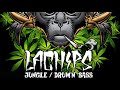  drum and bass reggae 2021  lachips  weedy monkey  420 special mix 