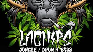 [ Drum And Bass Reggae 2021 ] LaChips : Weedy Monkey ( 420 Special Mix )