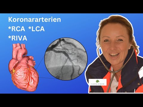 Homeschooling: Koronararterien (RCA, LCA, RIVA)