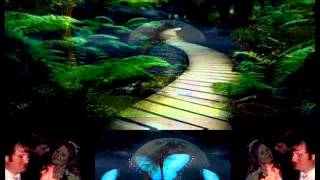 One Night At A Time Video