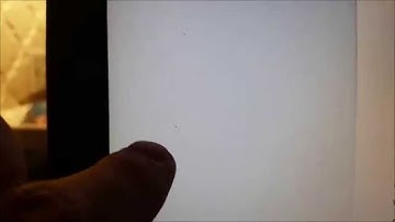 Crawling Bug inside my monitor!