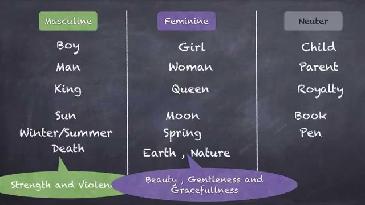 Nouns Gender Number And Case YouTube