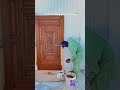 high gloss wood door polish