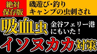 【釣り/キャンプ】海の吸血虫 イソヌカカ 絶対刺されない対策　金谷フェリー港でも刺された！千葉県千葉市