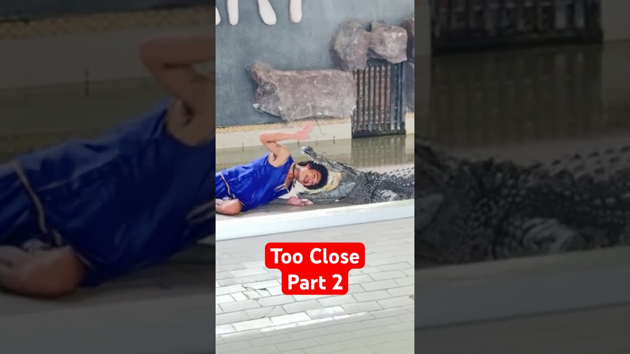 People Who Got WAY Too Close to Danger - Part 2 