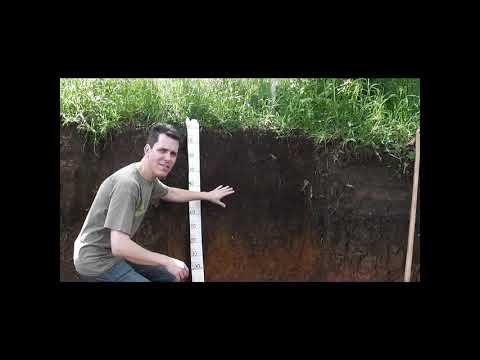 Vídeo: Qual é o perfil do solo e sua importância?