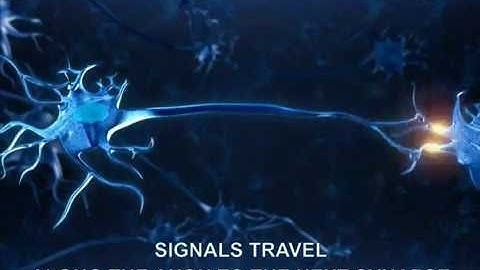 Basics 6: Synapses (neurotech)