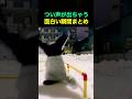 つい声が出ちゃう面白い瞬間まとめ🤣 #fun #funny #funnyvideos