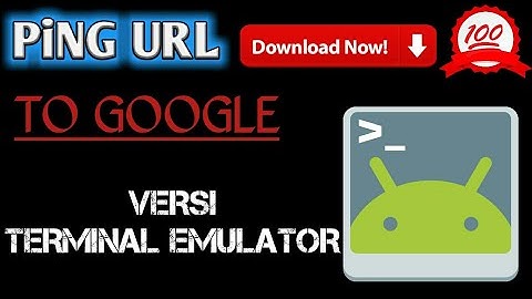 Ping Url Terbaik | Server Google | Menggunakan Terminal Emulator