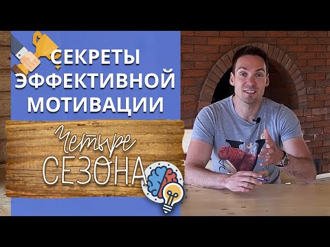 Эффективная мотивация сотрудников / Как мотивировать персонал, чтобы работать эффективно?