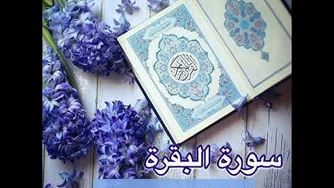سورة البقرة - الشيخ بسام مصطفى دهمة