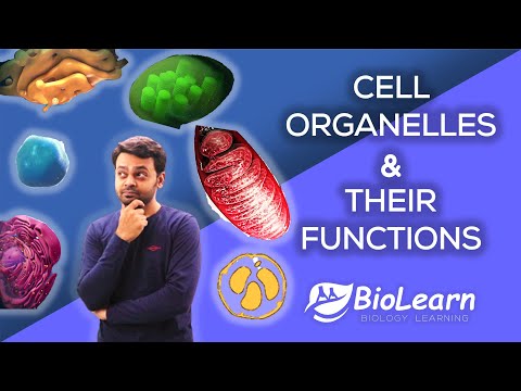 CELL ORGANELLES AND THEIR FUNCTIONS | Cell Organelles 2021 Video | Class 9 Biology ICSE | BioLearn