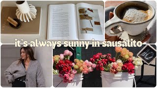 Sausalito Weekend Vlog + Home Update