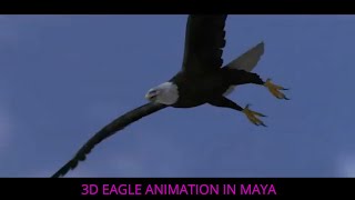 Amazing 3d Eagle Animation created in Maya!