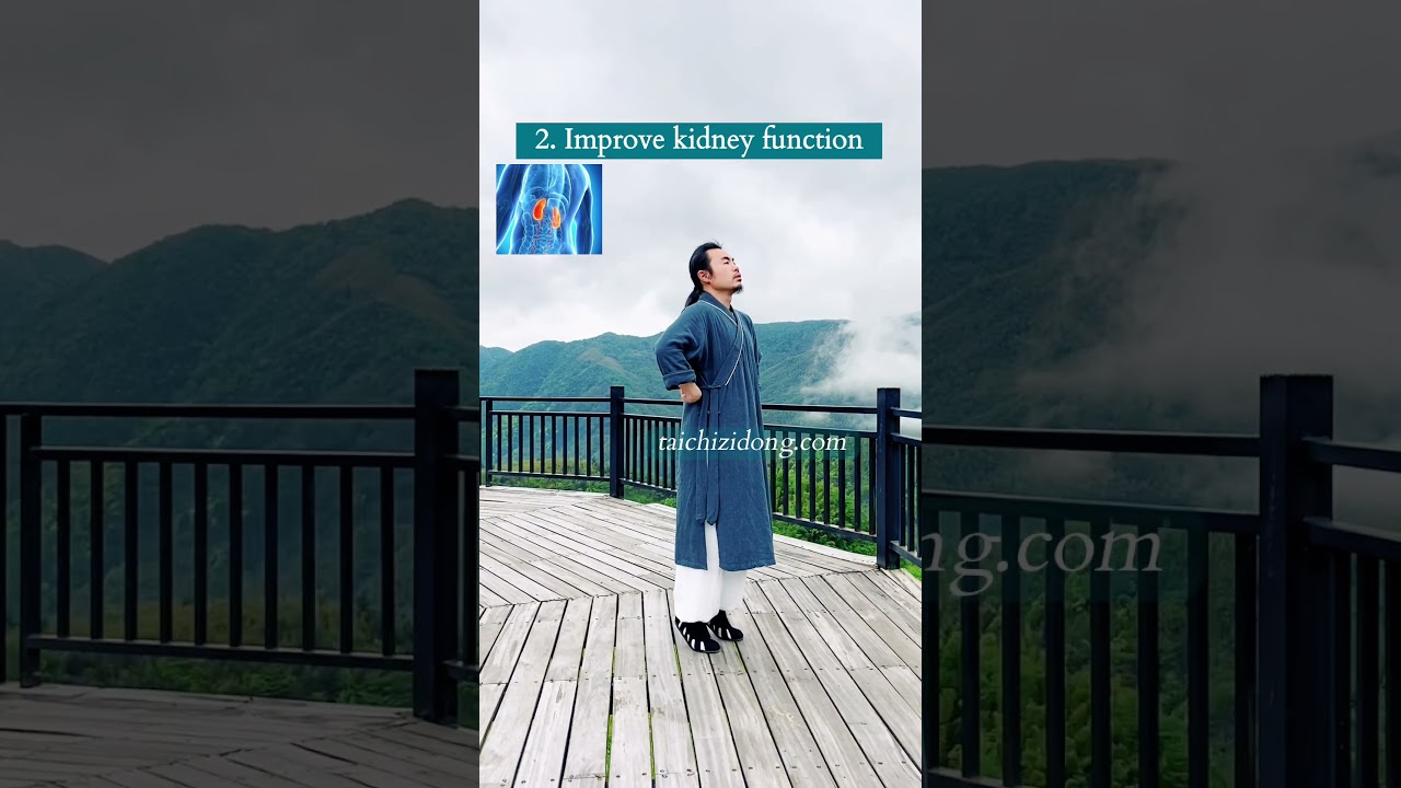 240547-Improve systemic microcirculation and reduce the burden on the heart.