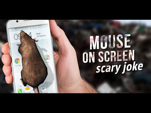 Mouse on Screen Scary Joke