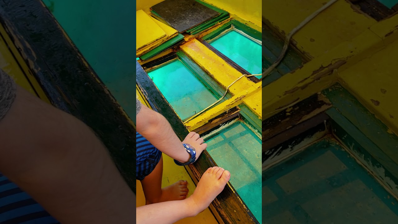 Glass bottom boat ride to snorkeling in Jamaica