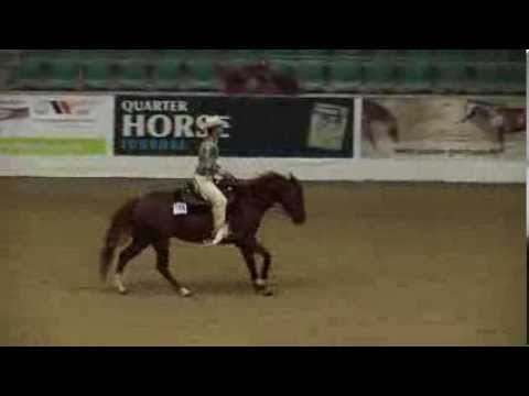 EWU German Open 2013 Jungperdeprüfung Reining 5jährig