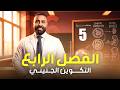 الحلقه الخامسه التكوين الجنيني الفصل الرابع