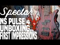 NEW Spector NS Pulse 4 - Unboxing and First Impressions - LowEndLobster Fresh Look
