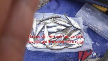 Hướng dẫn làm mồi bột câu cá mương