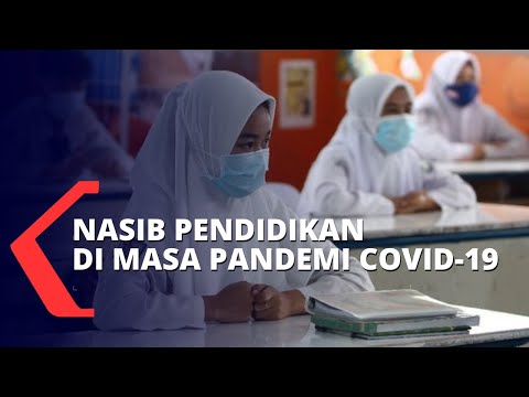 Video: Nasib