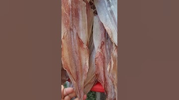 Mực khô phan thiết