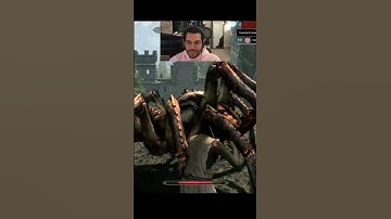 This is Chaos in Skyrim (Crowd Control)