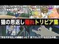【ジブリ裏話】『猫の恩返し』の裏設定&隠れトリビアを解説！【雑学・豆知識】