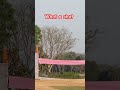 Perfect timing #cricket #cricketlover #cricketshorts #trending #youtubeshorts #sports #viralvideo