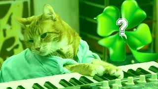 Keyboard Cat Loves St. Patrick's Day!!!