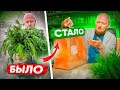 Вегетарианство Не ПОРОК.) - Кафе &quot;УКРОП&quot;.