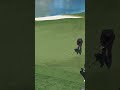 Unreal touch from Bubba Watson on the green in Las Vegas! #livgolf #shorts