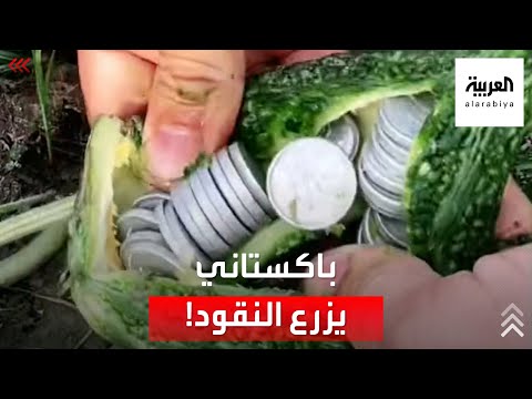 فيديو: كيف تجد النقود في متناول اليد؟