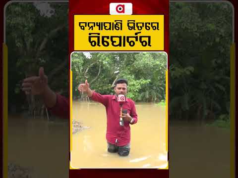 ବନ୍ୟା ପାଣି ଭିତରେ ରିପୋର୍ଟର | Ground Report From Deep Floodwaters | Odisha Flood | Argus News