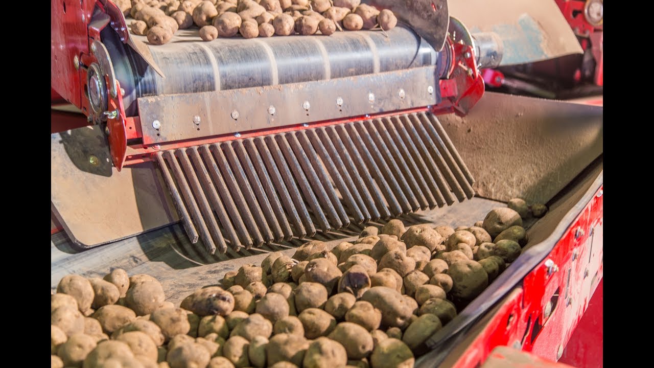 downs sims GRIMME SoftFlow | Highest crop protection in the storing line