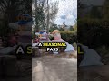 blizzard-beach-reopens-february-15th